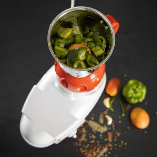 آسیاب برقی جی پاس مدل GSB5456N